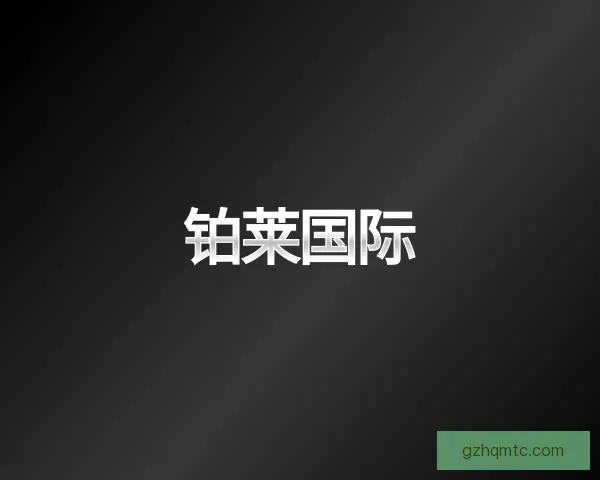 介绍铂莱国际